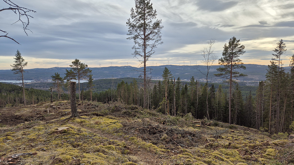 Utsikt mot sørvest fra Knappåsen (339). På høydedraget bakerst med vindmøller, er blant annet Songkjølen (509) og Sæterberget (538).