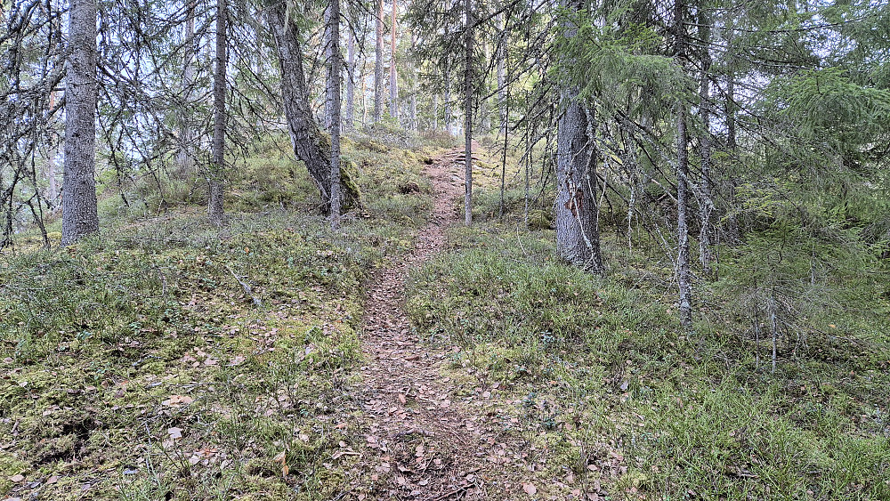 Stien jeg fulgte oppover mot Hesbergsdalshøgda. Denne stien er ikke inntegnet på alle kart. Her er jeg på drøyt 200 meters høyde, og kommer straks opp på en liten rygg.