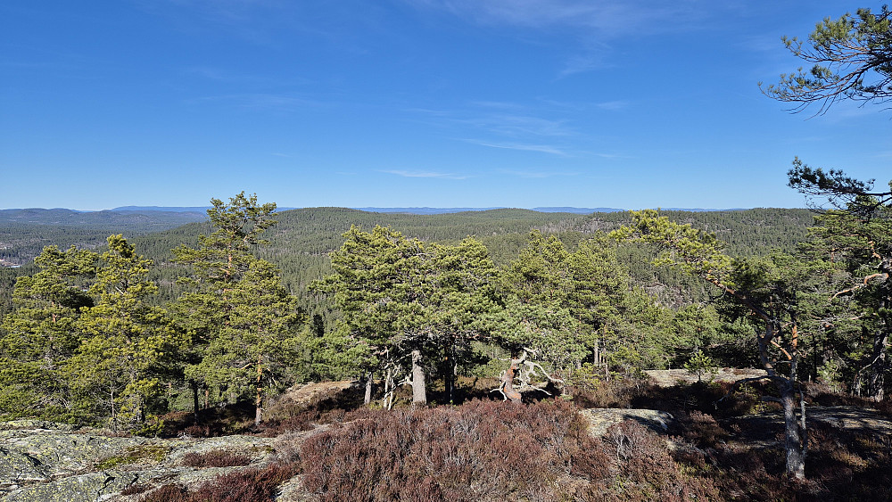 Like før jeg nådde toppen av Krokvassheiane (277) fikk jeg god utsikt. Her i nordøstlig retning. Den slake åsen litt til venstre for midten, er Suggkjerrheia (286).