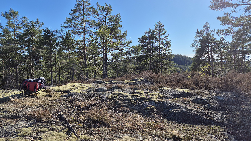 På Gampheia (239). Gløtt av utsikt mot Krokvassheiane (277) i bakgrunnen til høyre.