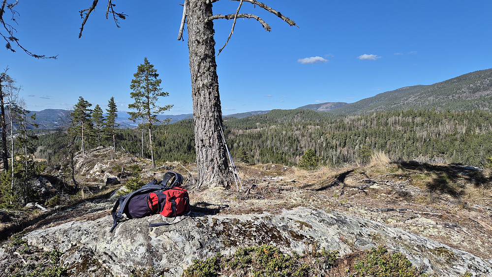 På toppen av åsen Sørøst for Slåttekåsa (273). Bildet tatt mot nord. Praktfullt vær i dag, med lite vind.