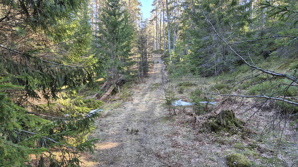 Fin kjerrevei oppover nordsiden på Skulssnippen (391). Den var riktignok litt mer steinete noen steder enn det her, men den gjorde at bestigningen av Skulssnippen ble lettgått.