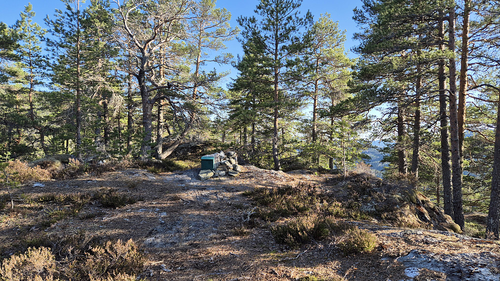 Postkassen og det som er toppvarden på Skulssnippen (391). Høyeste punkt er drøyt 20 meter lengre bak.