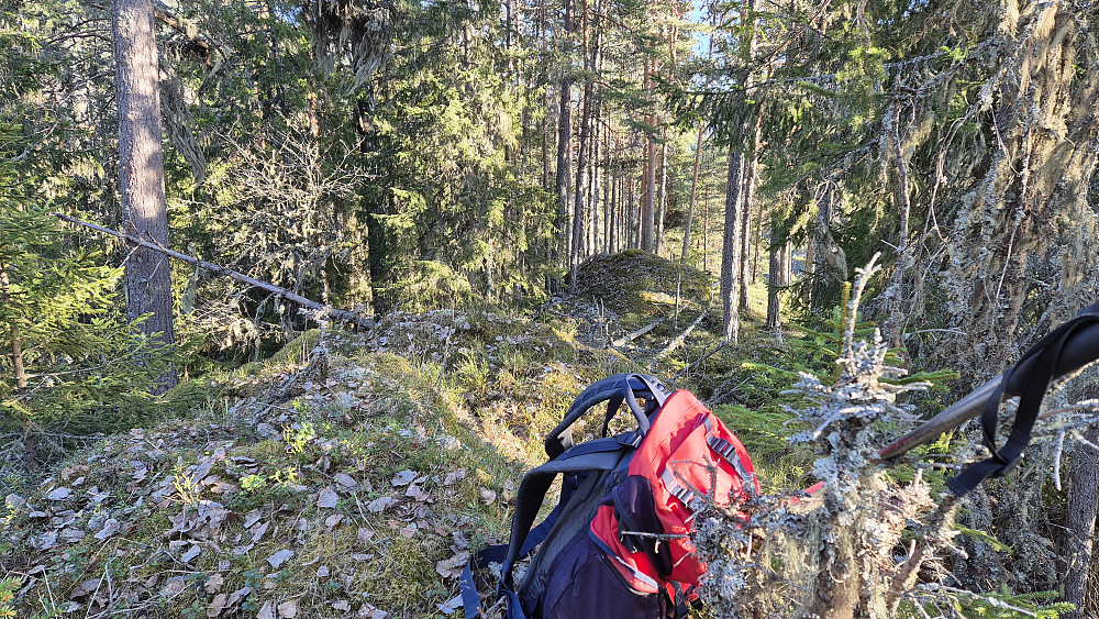 På toppen av Høgsteåsen (268). Bildet tatt sørover, mot der jeg kom fra.