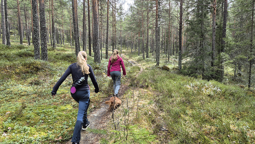 I begynnelsen fulgte stien en gammel traktorvei. Dette var også det slakeste partiet på ruta. Her møtte vi de fleste vannpyttene og de gjørmete stedene.
