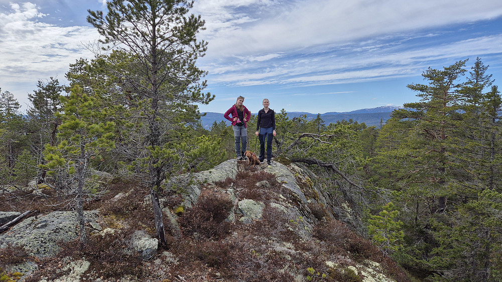 På toppen av Høgelifjell (628).