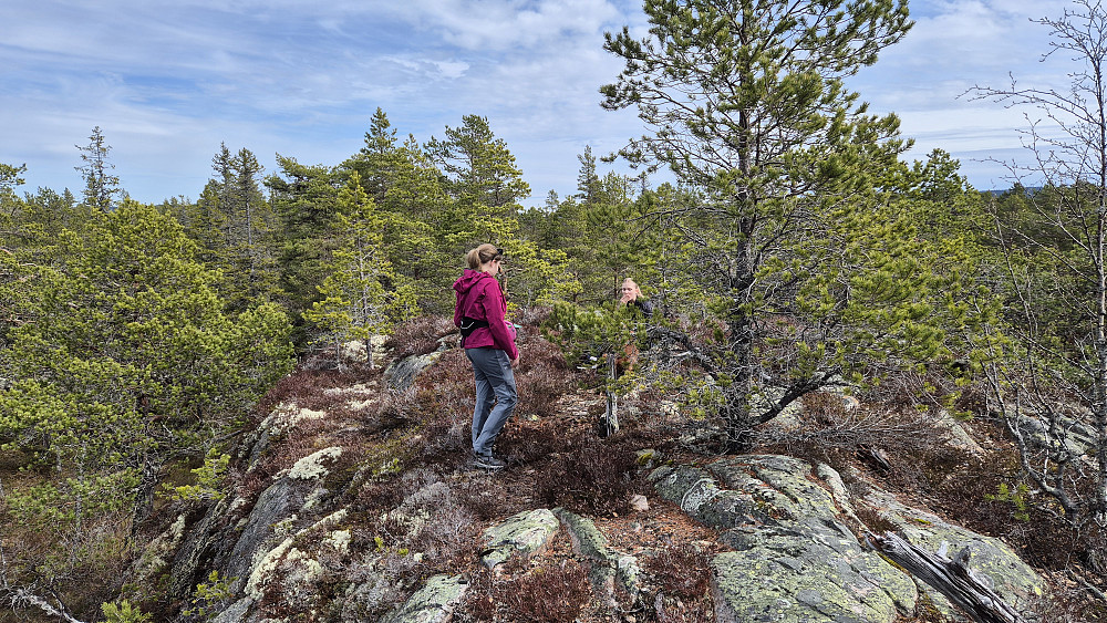 På Høgelifjell (628).