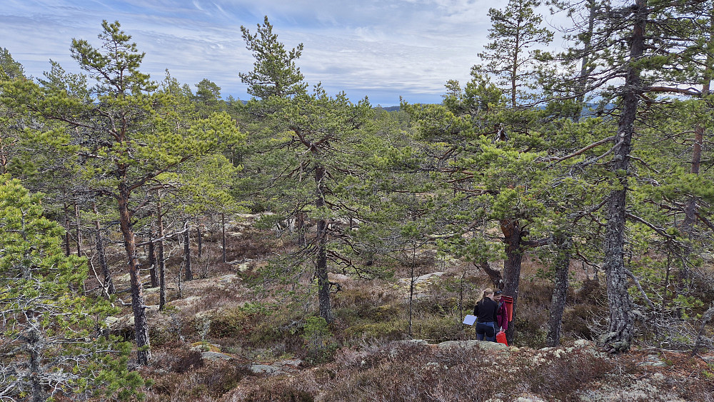 Jentene ved postkassen på Høgelifjell (628), hvor de skriver seg inn i boka.