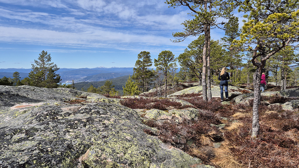 Vi har begynt på returen, og er på vei over høyden like nord for toppen av Høgelifjell (628). Langt nedenfor til venstre i bildet, ses flystripa ved Notodden og vestenden på Heddalsvatnet. Gaustatoppen rager høyest lengst bak.
