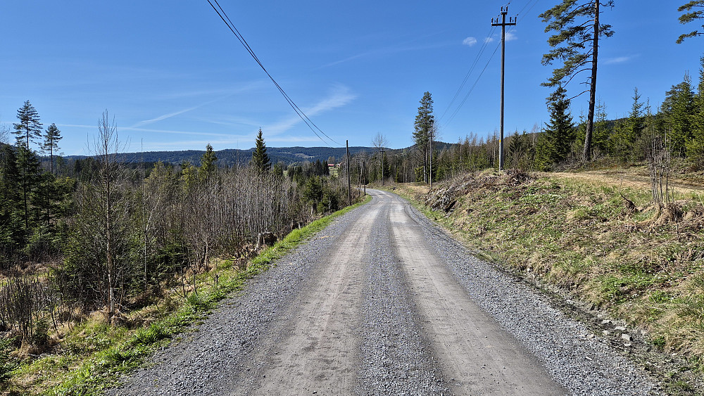 Vandring på Ospeskogveien, retning vestover. Litt av gården Øvre Lyse kan ses lengre bak midt i bildet.