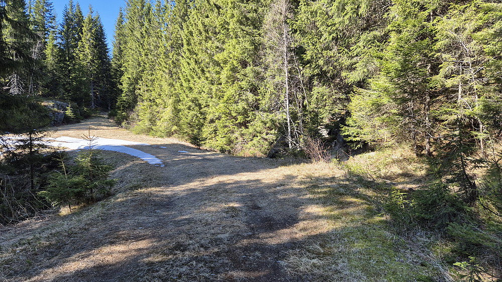 Veien jeg fulgte oppi Søttjerndalen var behagelig å gå på. I denne svingen stopper veien på kartet, og det var her jeg gikk ut i terrenget til høyre for å gå opp mot Høgåsen Vest (576).