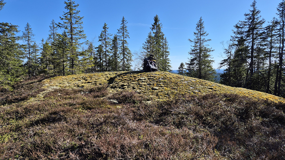 Stor åpning i skogen der toppen av Kjerkeberget Nordvest (616) var.