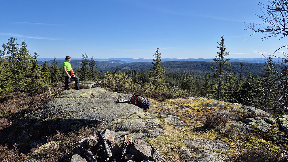 Flott toppområde på Kjerkeberget (619), og nydelig utsikt i sørlig retning. Snøen man ser i bakgrunnen på åsen litt til venstre, er Kolsåsbakken. Praktfullt vær i dag! Akkurat passe varmt, og foreløpig lite insekter. De jeg så var av det mer hyggelige slaget, som f.eks. humler og sommerfugler.