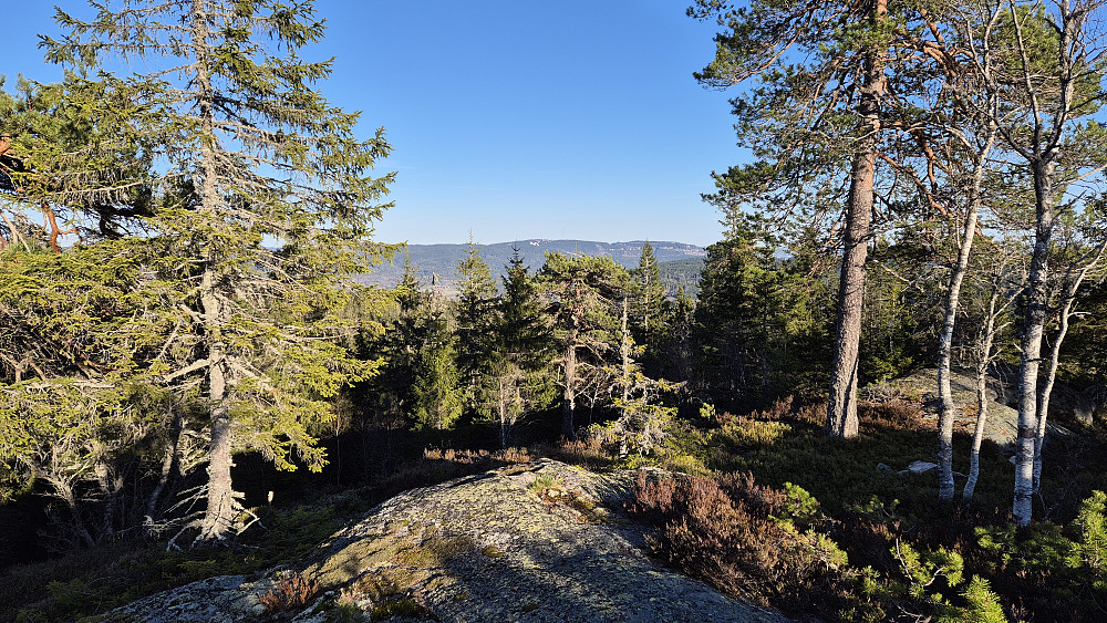 Utsikt mot Tryvannshøgda (534) fra Kuskallen (494).