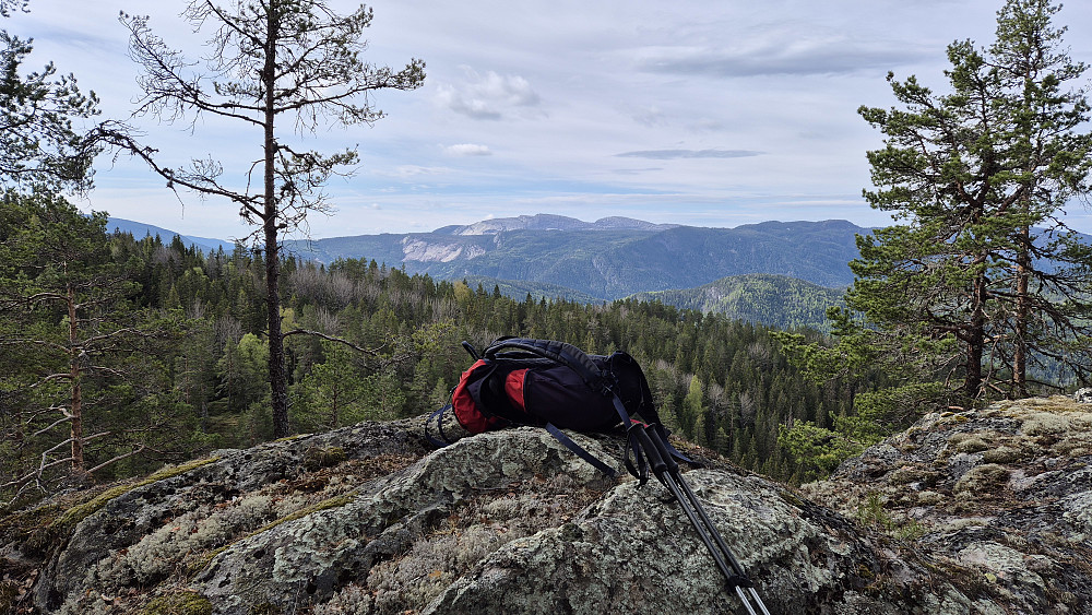 Toppunktet på Olavskosfjellet (501). Bakerst og midt i bildet ses Roholtfjellet.
