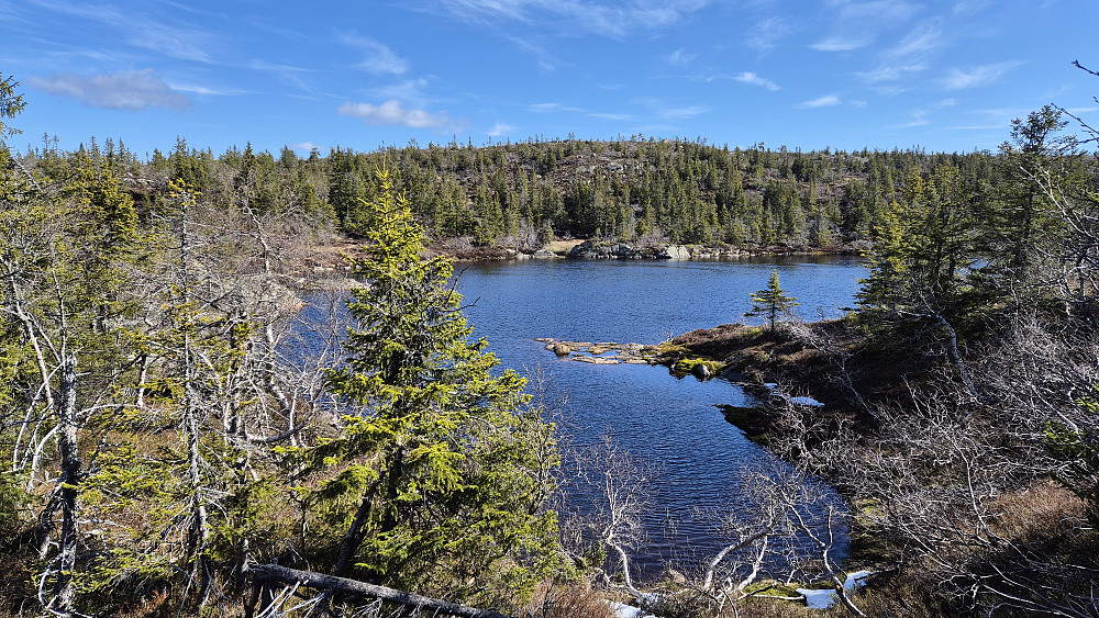 Damtjenn, med høyden hvor toppen av Slettefjell (850) befinner seg i bakgrunnen.