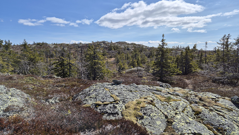 Jeg nærmer meg toppen av Røglefjell (847), som ses bakerst nøyaktig midt i bildet.