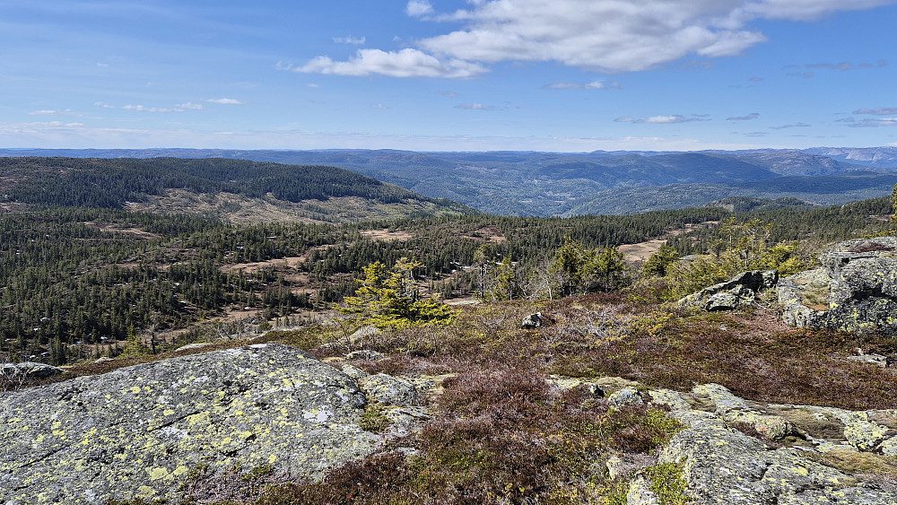 Utsikt retning vest/sørvest fra Røglefjell (847).