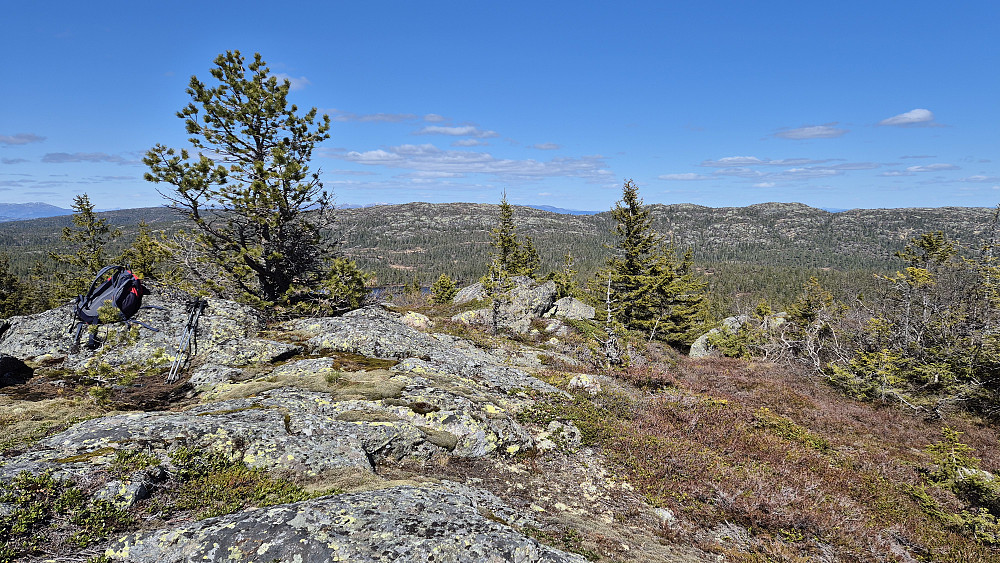 På toppen av Tåklireset (817), hvor det så ut til å være lite trafikk. I bakgrunnen og bitte litt til venstre for midten, er Røglefjell (847).