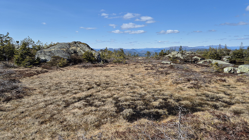 På Jamnvåga (810), hvor høyeste punkt er bergknausen til venstre.