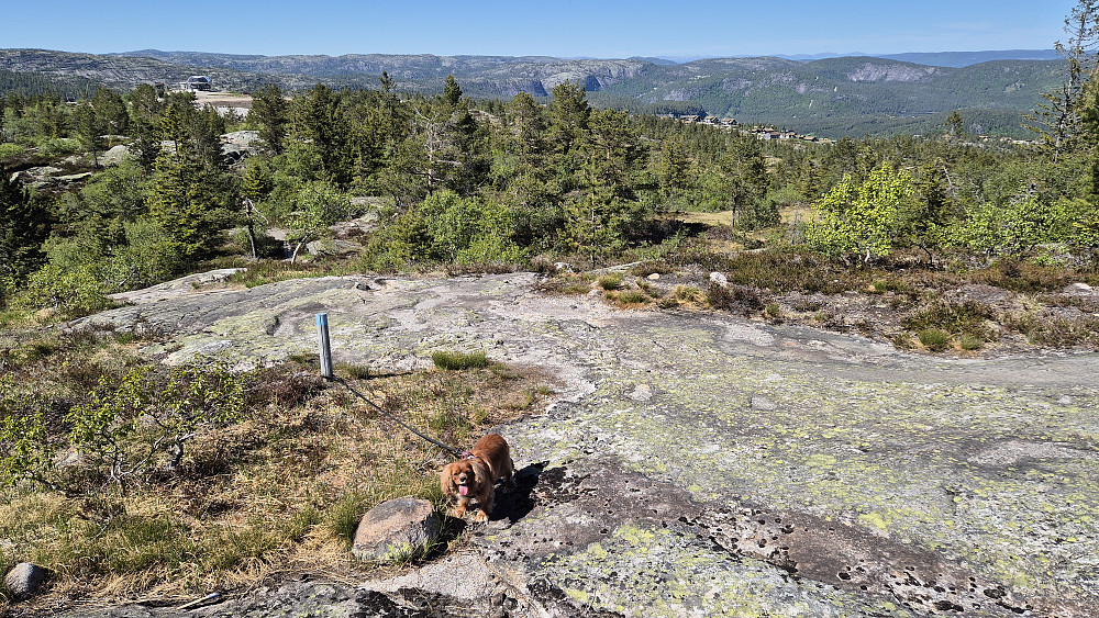 På stien til Nonsåsheivarden (678). Her ser vi tilbake mot der vi kom fra. Toppen av alpinanlegget ses bak til venstre.
