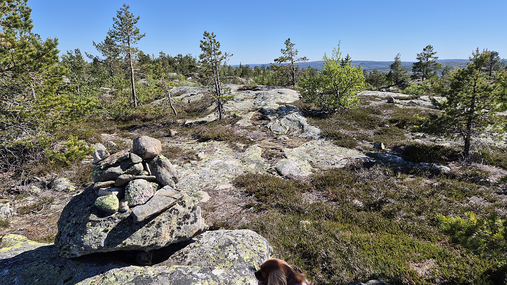 På Blekvarden (678). I bakgrunnen til venstre er Nonsåsheivarden (678).