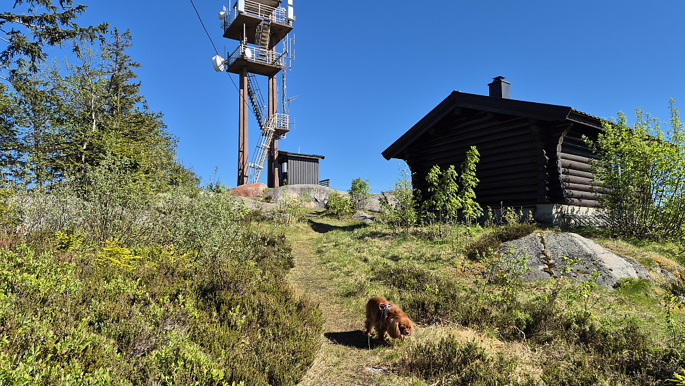 Hytta og utsiktstårnet på Rafjellet.