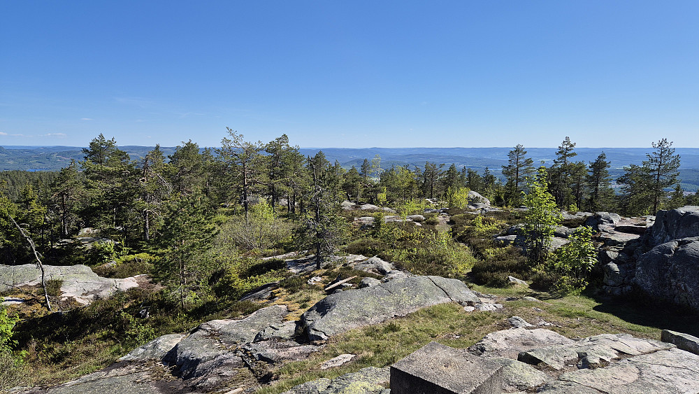 Utsikt sørover fra Rafjellet. Fint og åpent terreng her oppe.