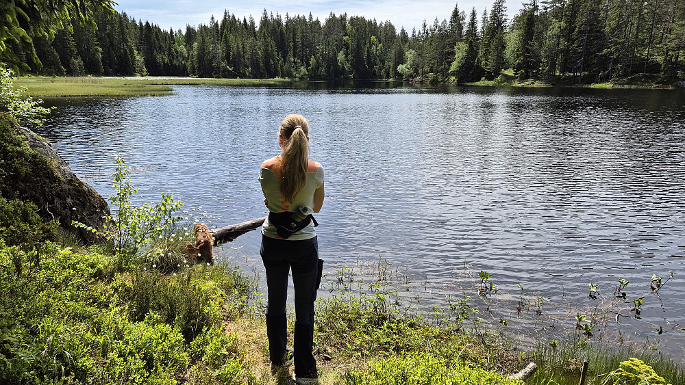 Idyllisk ved tjernet som ligger ved Gramsebu. Her står vi på nordsiden og ser sørover. 