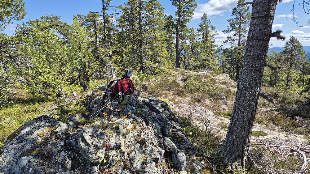 På toppen av Transtaulhøgdi (781).