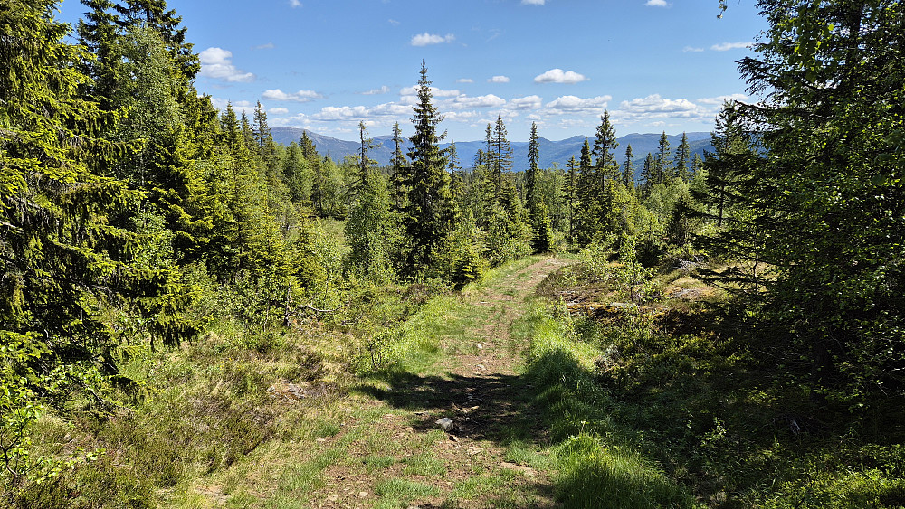 ATV-veien jeg fulgte nedover like etter at jeg hadde snakket med de 3 personene. Litt lengre nede gikk veien over til en bredere men dårlig grusvei.