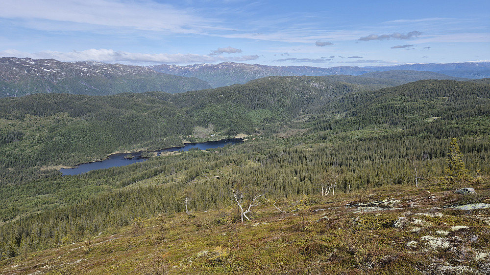 Ovenfor skoggrensa, og utsikten har virkelig åpnet seg. Bildet tatt mot nordvest. Vannet nedenfor er Nordre Bessevatn. Nøyaktig midt i bildet, ved nordenden på vannet, parkerte jeg på tur nr. 2 denne dagen. Skromenuten (974), som jeg da besøkte, er åsen på skrå opp mot høyre fra nordenden på vannet.