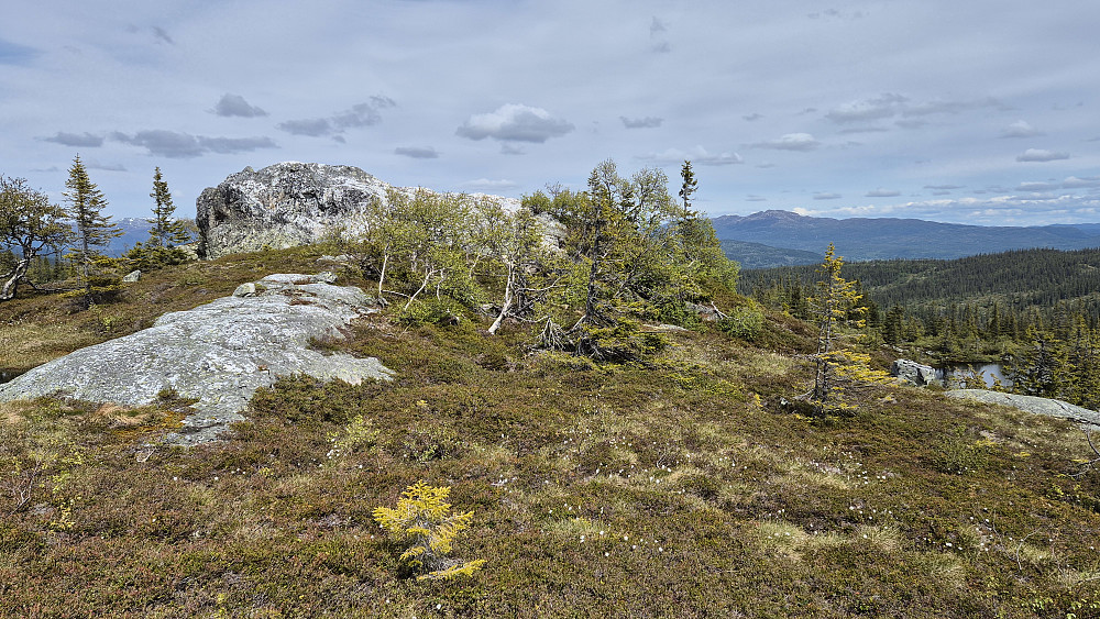Toppunktet på Skromenuten Øst (974) er oppå den tydelige bergknausen til venstre. Langt bak til høyre ses Vehuskjerringi (1355).