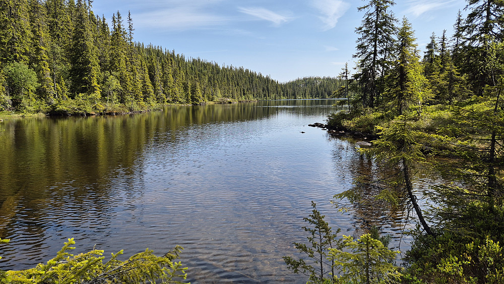 Fjoshovdtjønn. 
