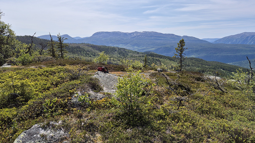 På toppen av Fjoshovden (971). Utsikt mot sør/sørøst. Fjellet i bakgrunnen midt i bildet er Mælefjell (1414).