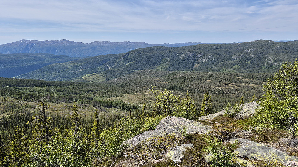Nydelig utsikt fra Fjoshovden (971). Bildet tatt mot sørvest. Det store fjellet bakerst og helt til venstre, er Skorve (1370).
