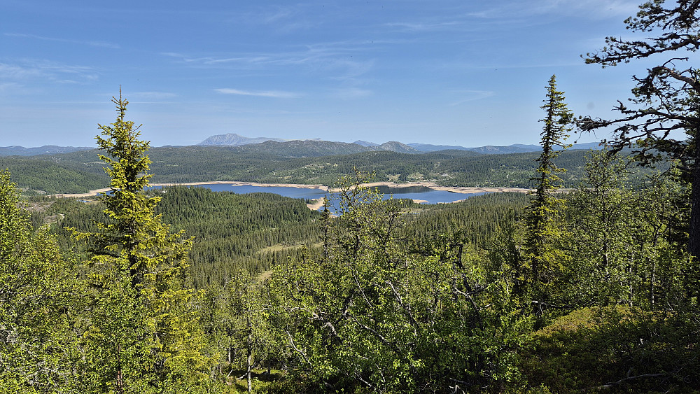 Oppå toppryggen på Fjoshovden, men litt øst for høyeste punkt, fikk jeg utsikt mot nord/nordøst. Det store og veldig nedtappede vannet, er Breivatn. Gaustatoppen (1883) ses langt bak til venstre.