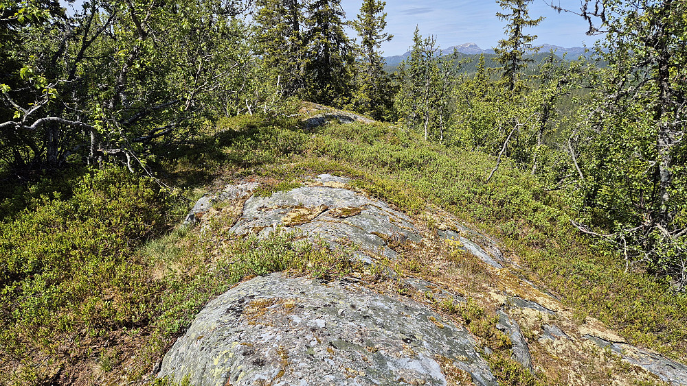 På toppen Vest for Volebakk (891).