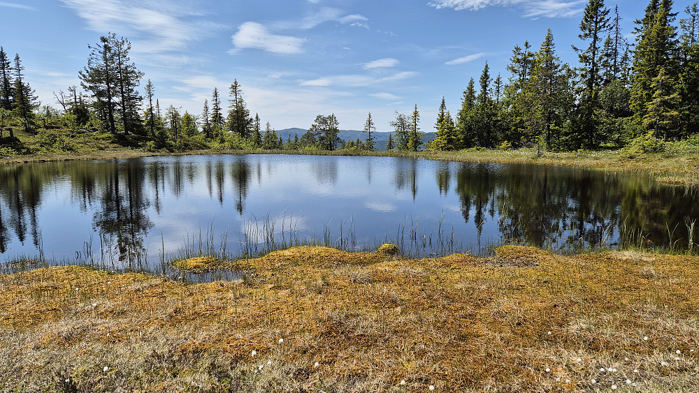 Under nedstigningen fra Lislefjell (972) passerte jeg dette tjernet som ligger på temmelig nøyaktig 900 moh.