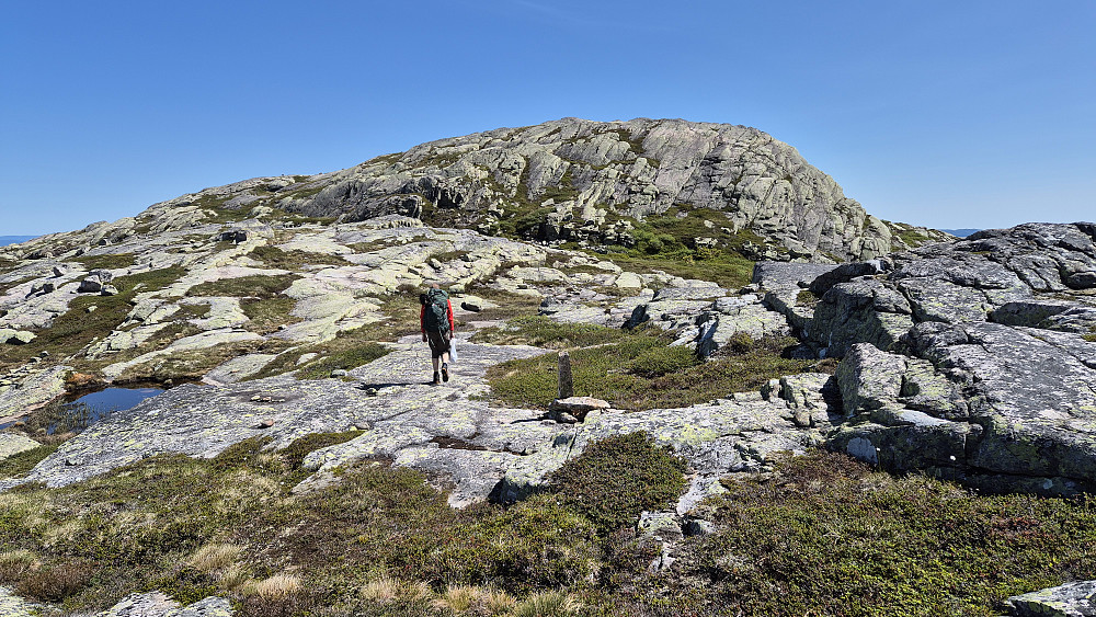 Øyvind og Aila (i sekken) nærmer seg Mannslagarnuten (1074). Trivelig og svært lettgått terreng her oppe.