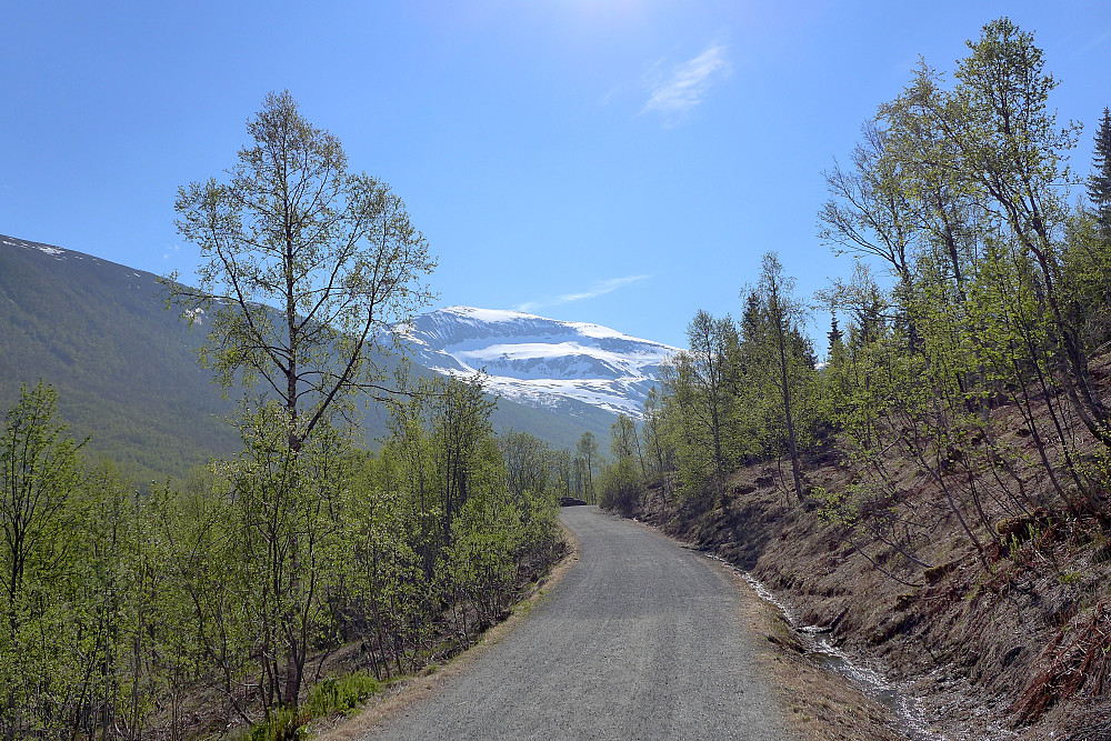 Lysløypa i Tromsdalen
