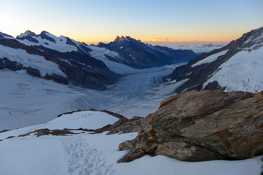 Looking down the Aletschgletscher from the east ridge