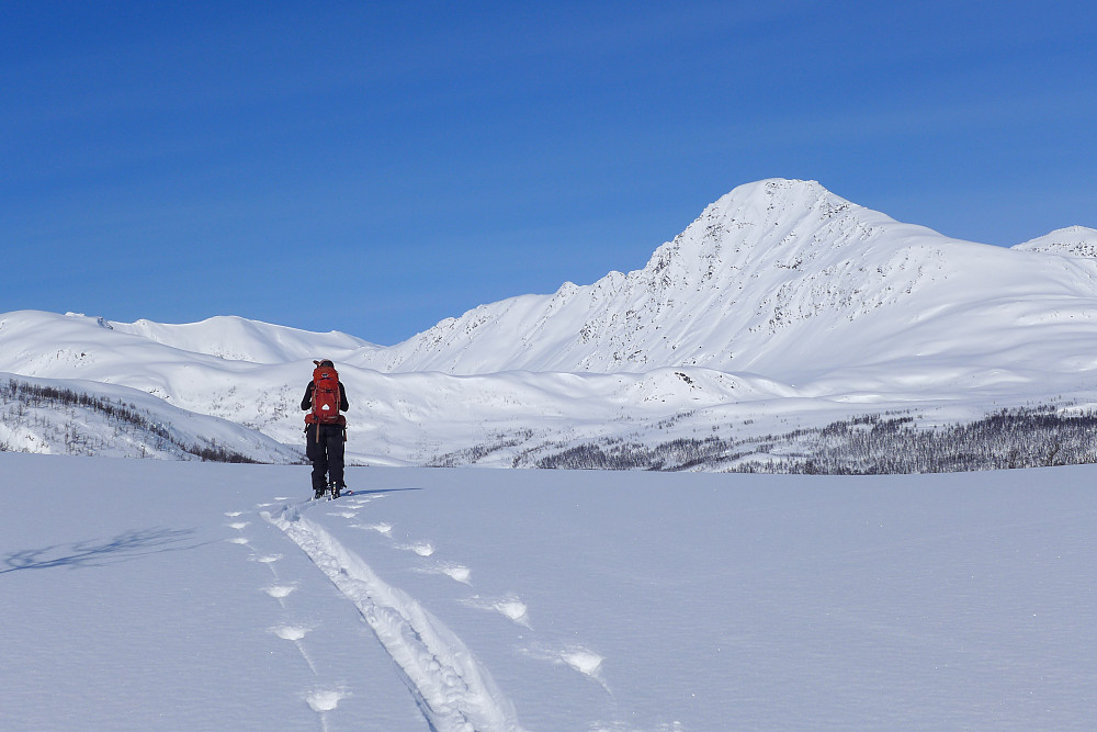 På tur over vannet mot nord