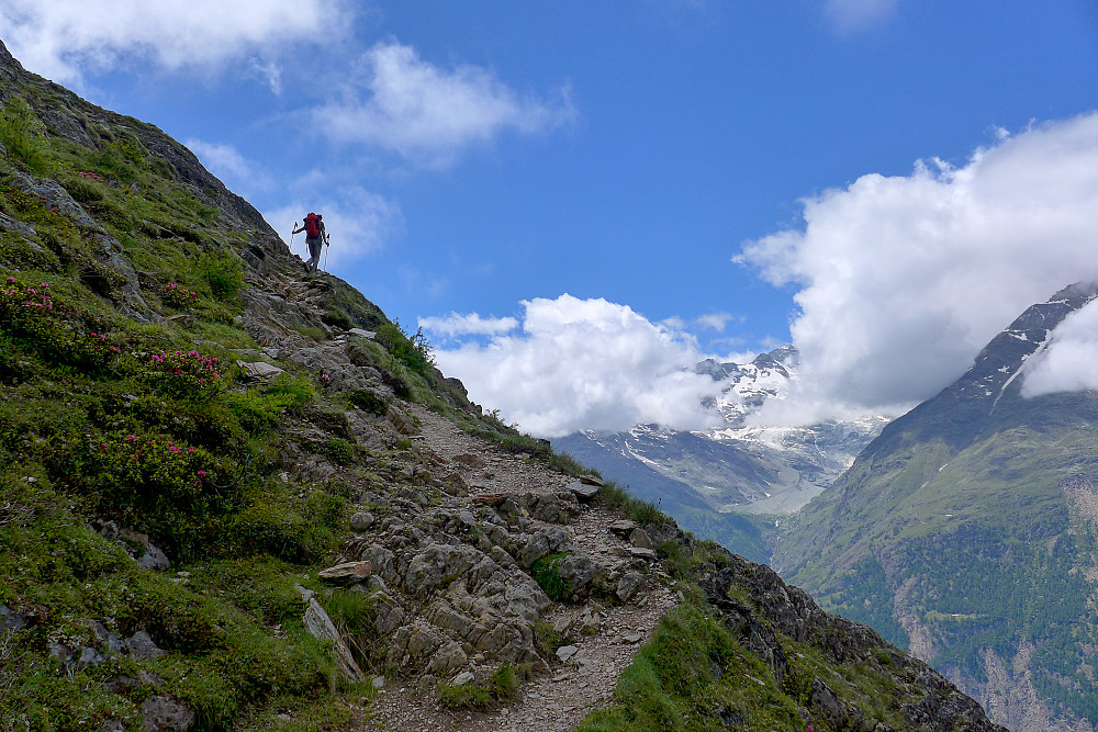 On the walk up to the hut