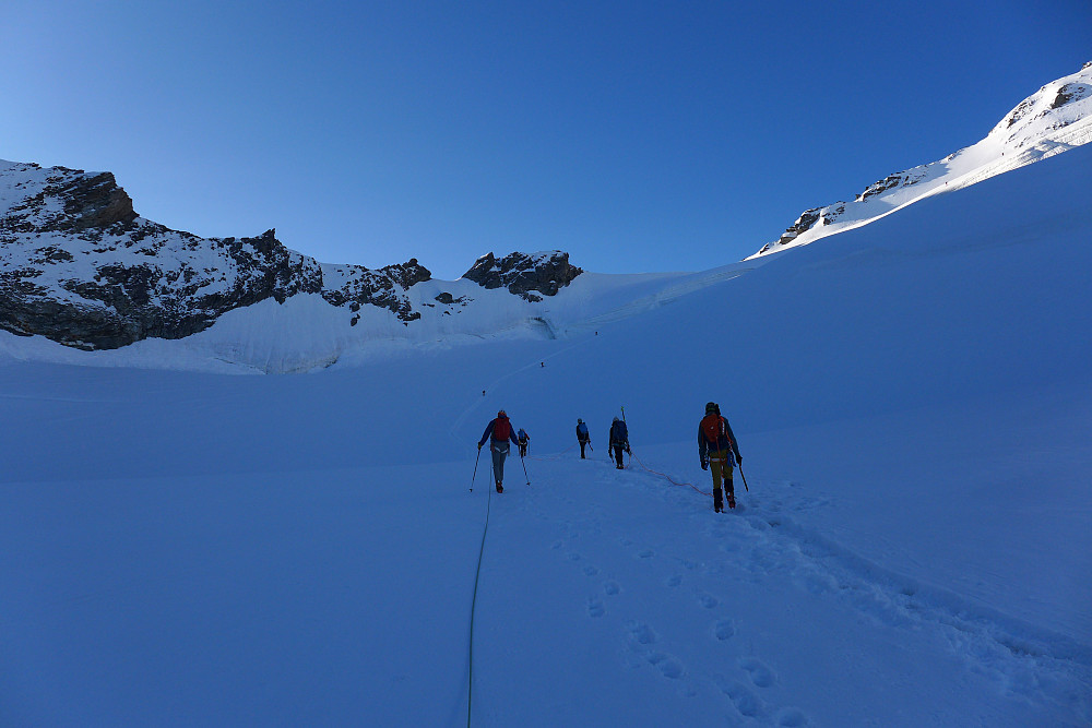 Trudging up the Hohbarggletscher to the start of the north flank