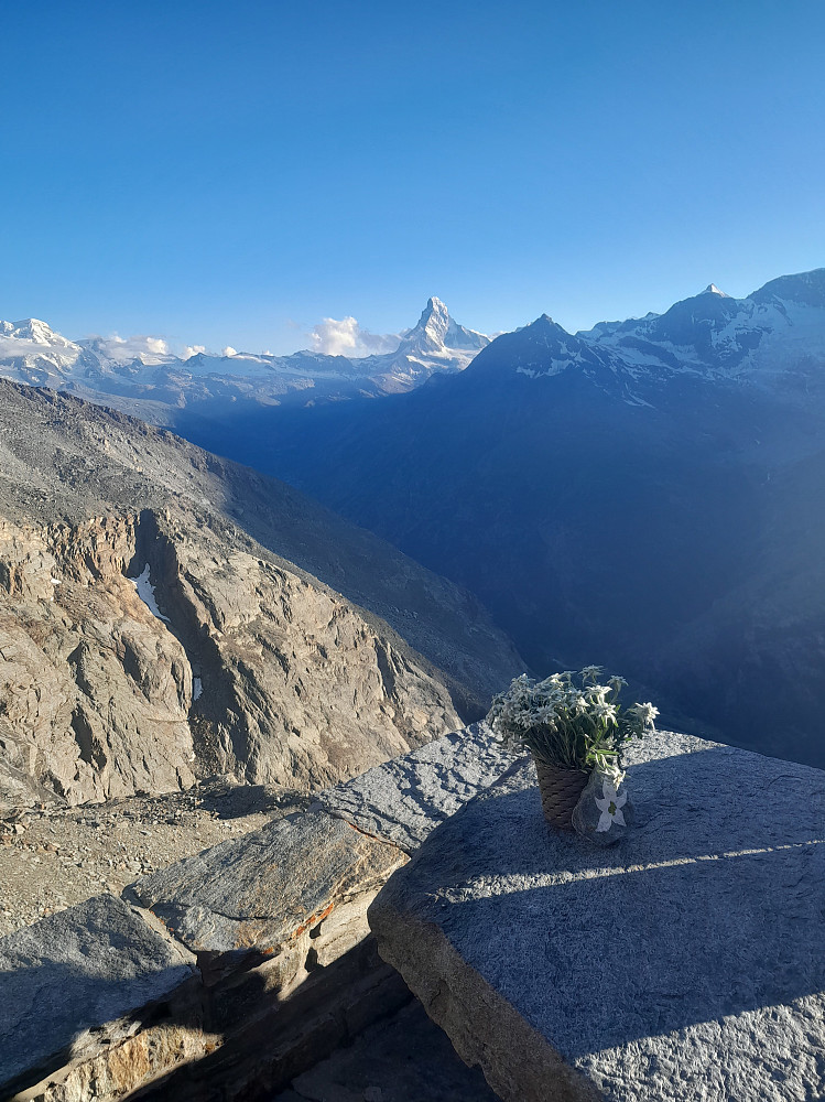 Evening hut views of the Matterhorn 