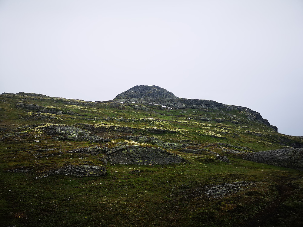 Mot toppen av Rånøyeggi 