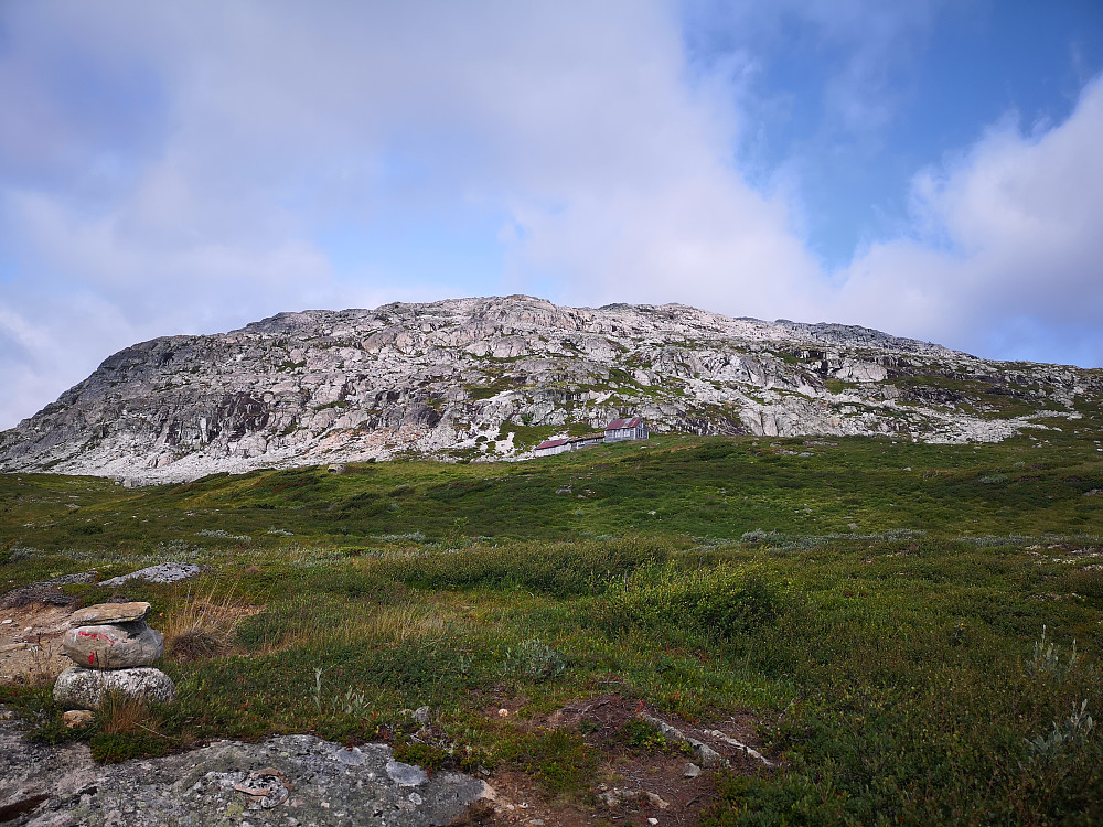 Vardahaug