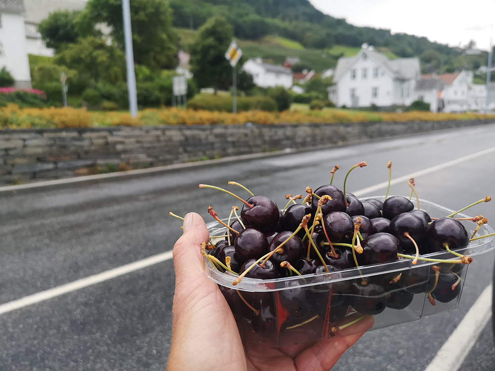 Moreller må man kjøpe når man er i Hardanger, her fra Utne