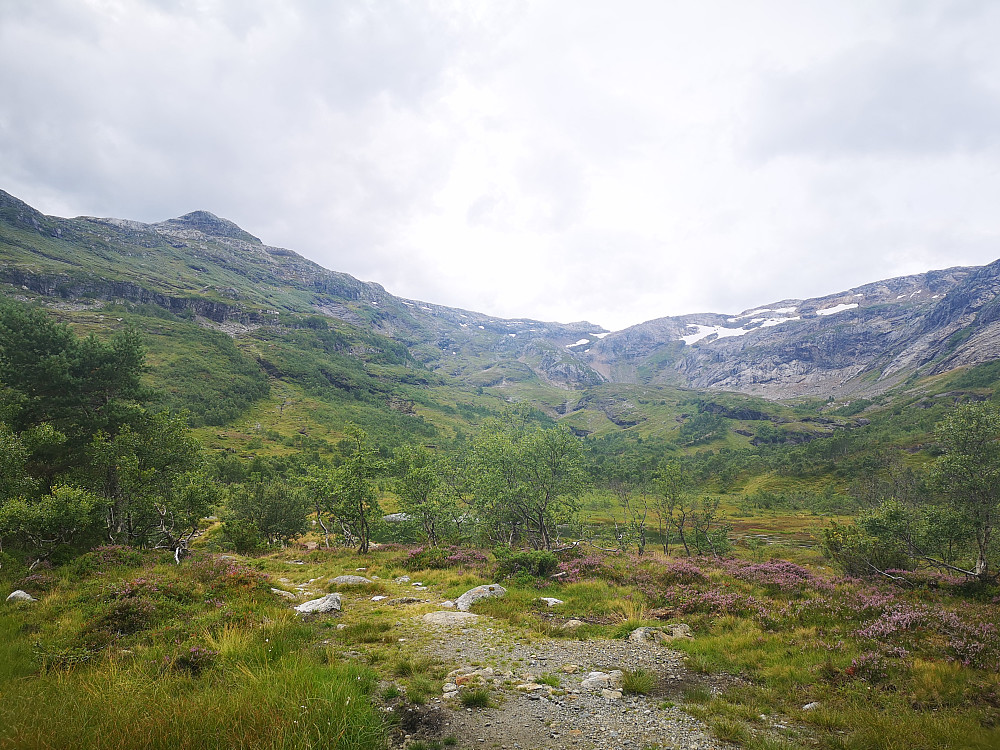 Roksbotn